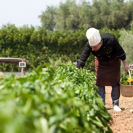 Tenuta Moreno 미사니아 외부 사진