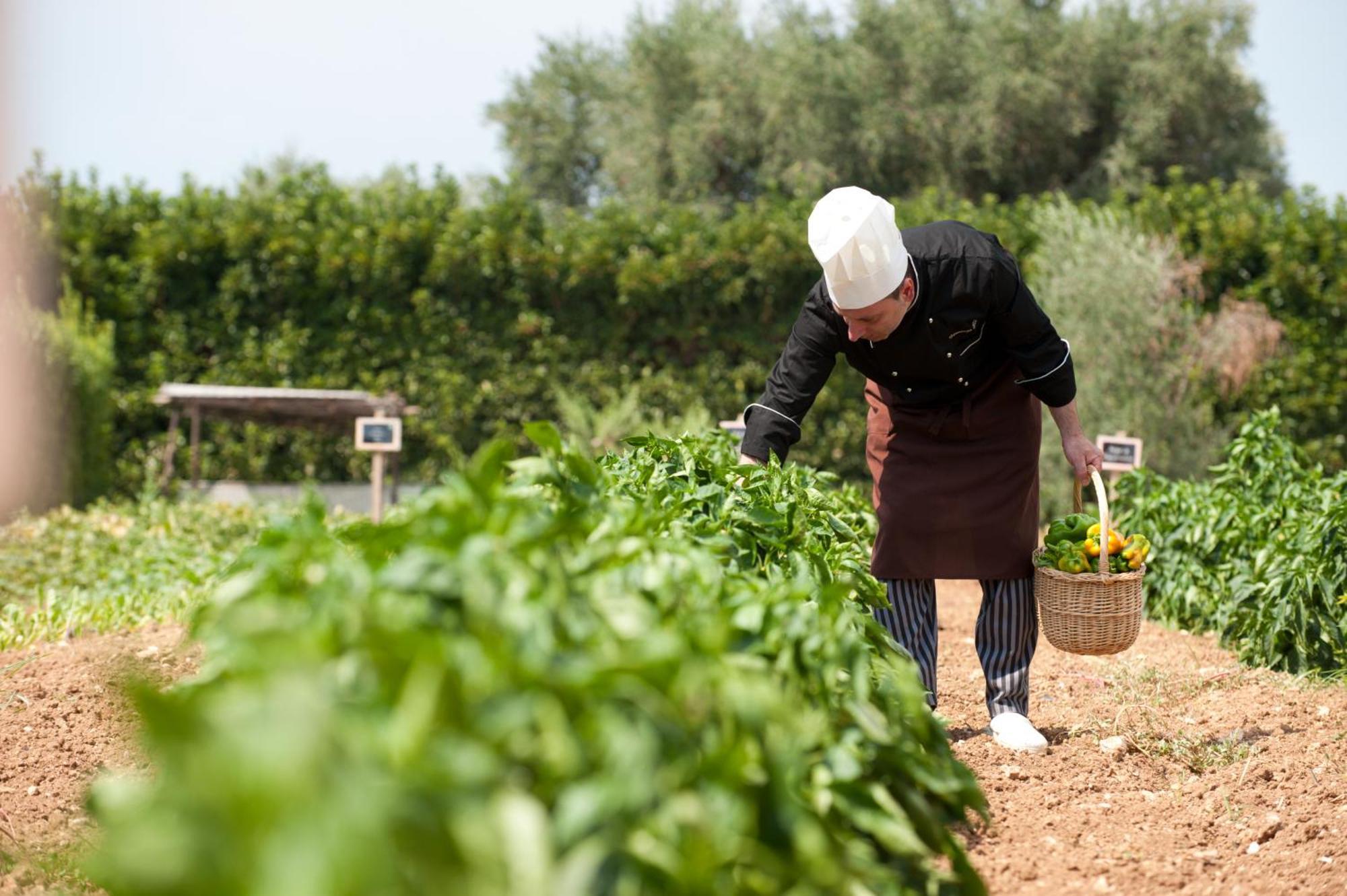Tenuta Moreno 미사니아 외부 사진